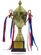 Indian Excellence Award For IT Industry 2013